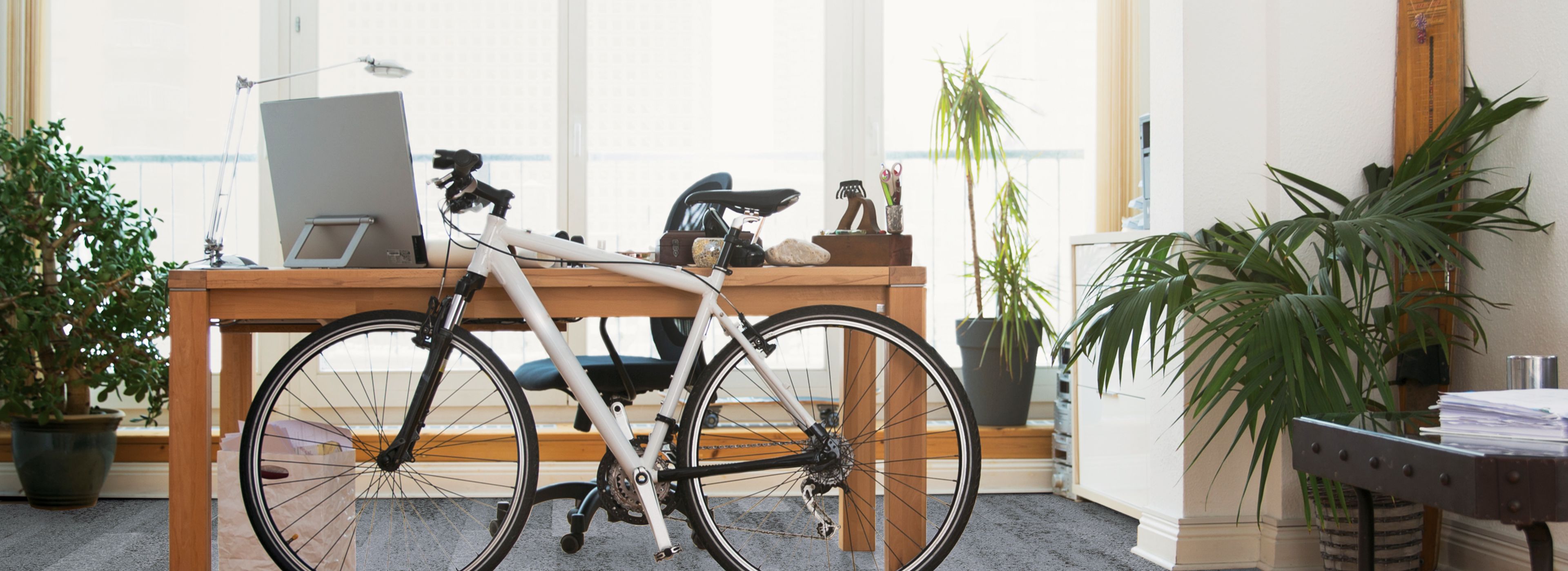 Interface Nature's Course plank carpet tile in private office with desk and bike numéro d’image 1
